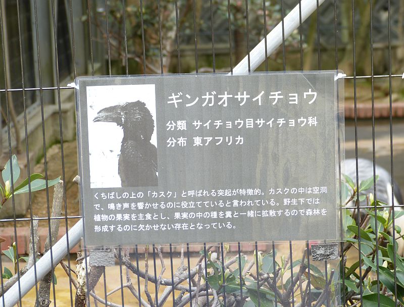 イメージ 8