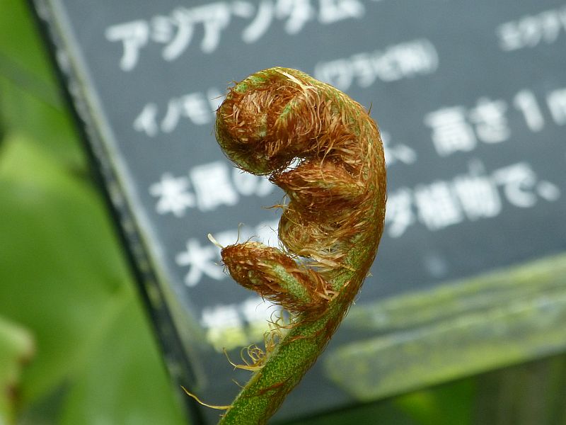 イメージ 9