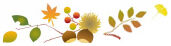 fig03