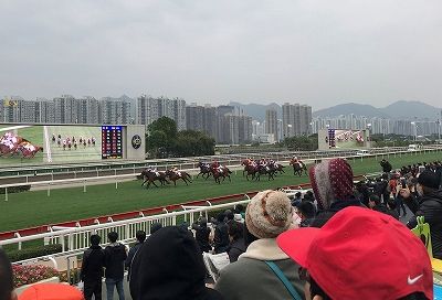 香港 タイ旅行記 2日日その2 香港 シャティン競馬場で一勝負 追われないこたつ生活 香港 タイ旅行記 2日日その2 香港 シャティン競馬場で一勝負 追われないこたつ生活