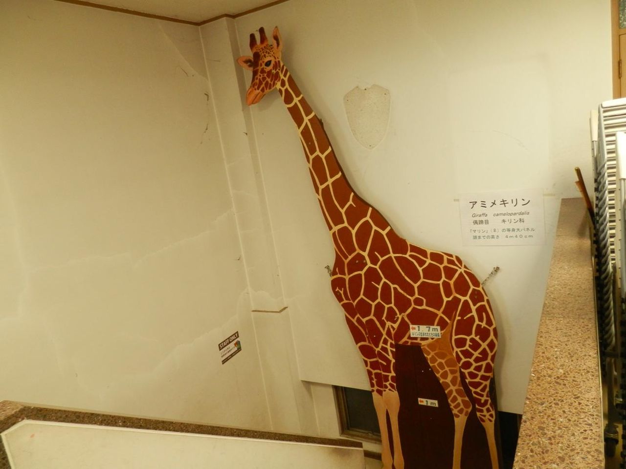 野毛山動物園 12 11 21 Two Versions Of Me