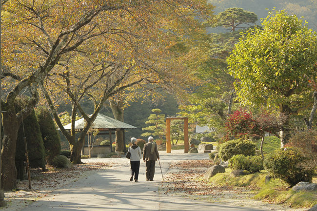 daikokuyaview