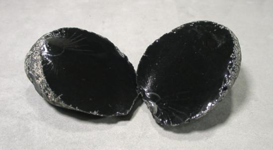 neruT0jn
