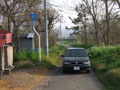 yasai