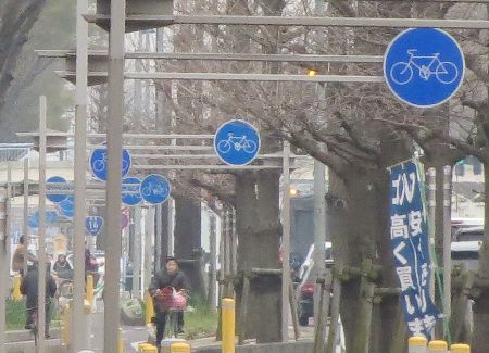 sagamihara1