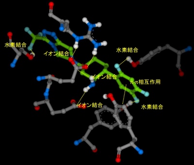 Sitagliptin
