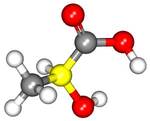 lactate3D