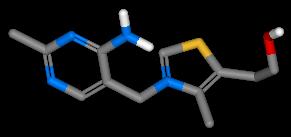 栄養学概論 鈴木梅太郎 二国二郎著　古書 ビタミンB1発見100周年 : 有機化学美術館・分館