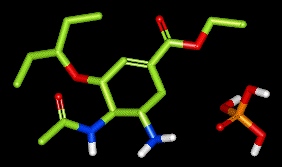 tamiflu