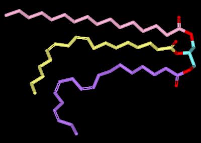 triglyceride
