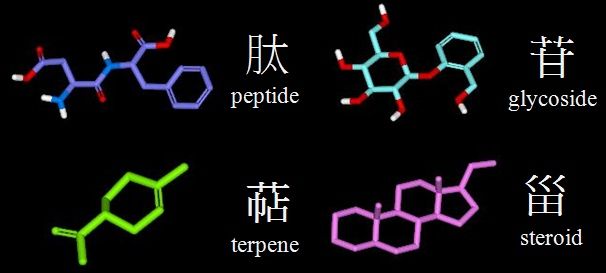 中国語の化合物名 3 有機化学美術館 分館