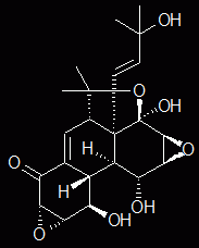 panepo