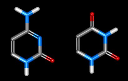 TRNA(シトシン-5-)-メチルトランスフェラーゼ