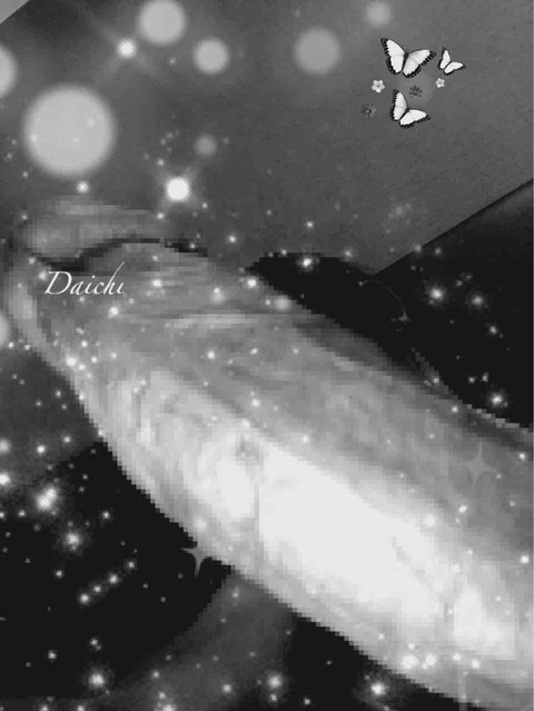 眠たい日☆2025/09/25【ROUTE66 Daichi\'s BloG】