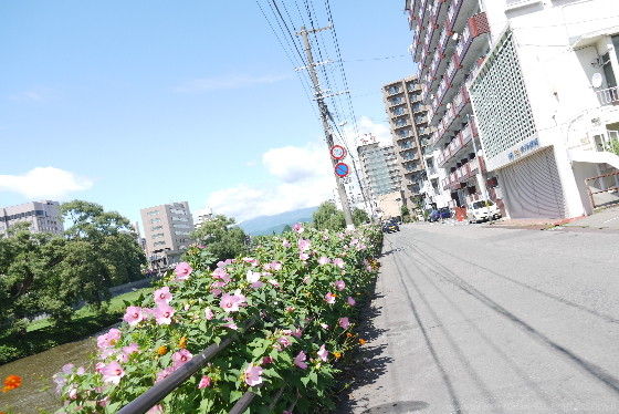イメージ 3