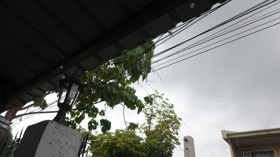 DSC01297