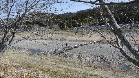イメージ 12