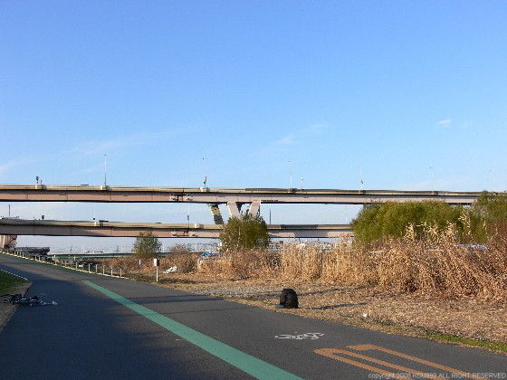 イメージ 6