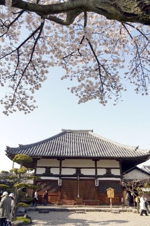 画像66
