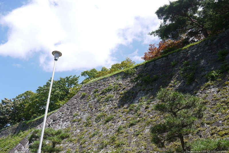 イメージ 10