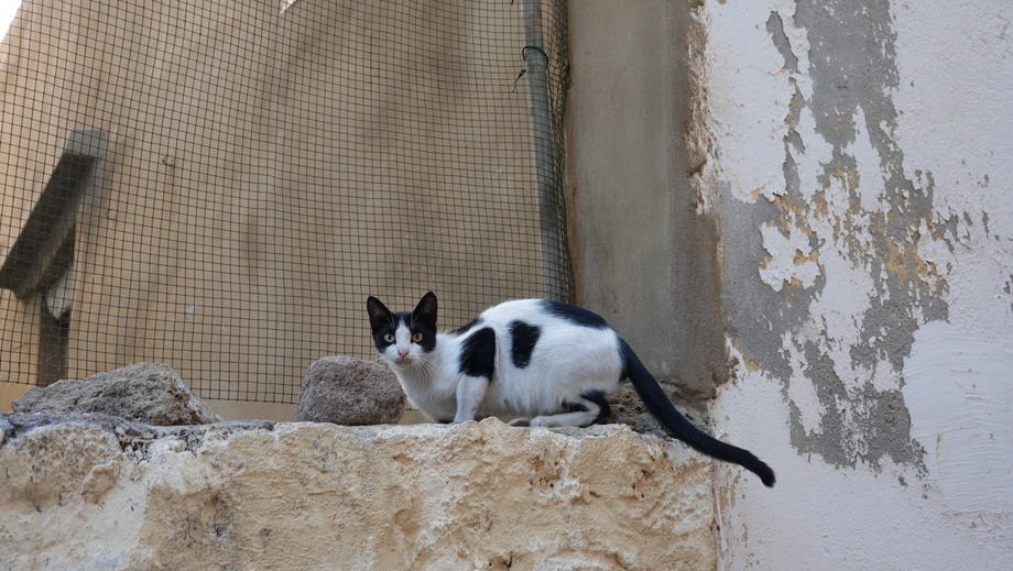 DSC03346