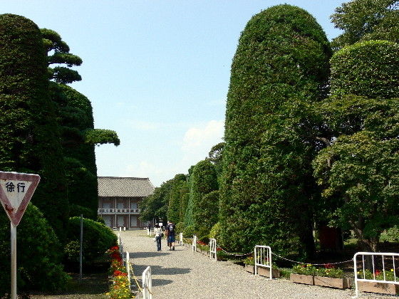 イメージ 13