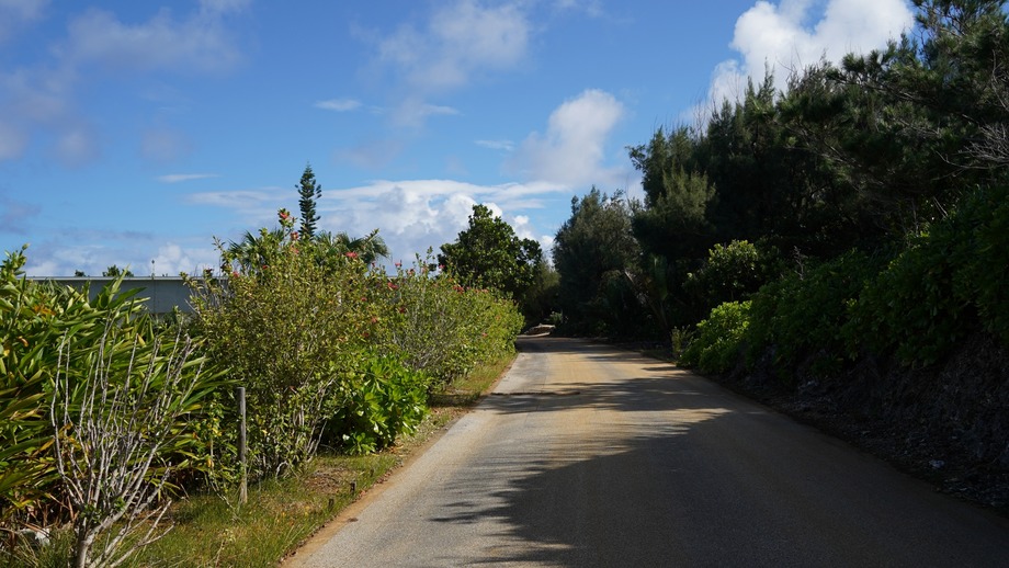 DSC01742