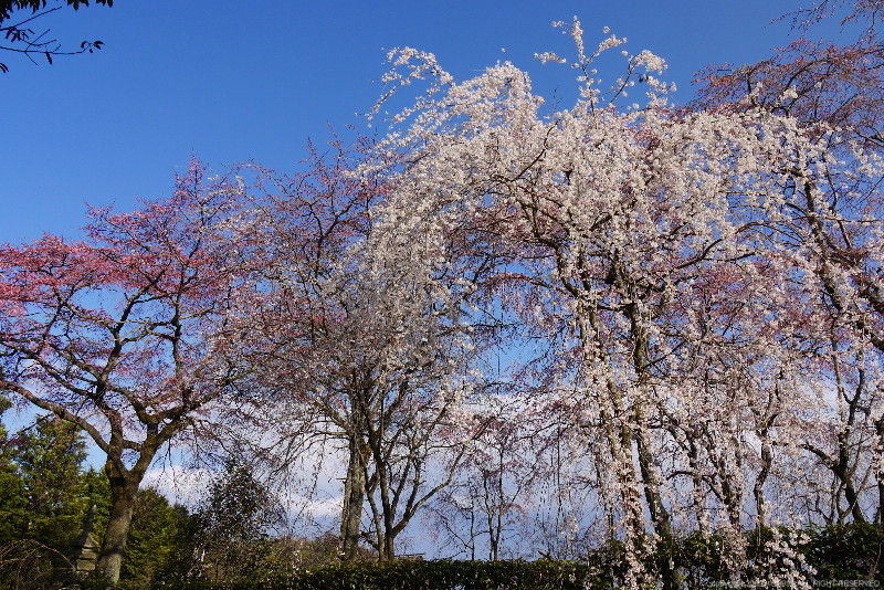 https://livedoor.blogimg.jp/route999kou/imgs/2/7/27a1fdff.jpg