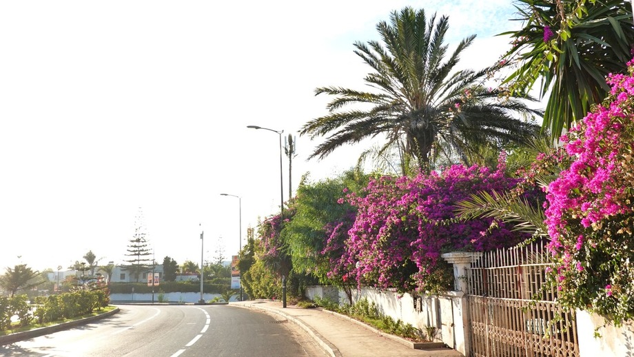 DSC02703