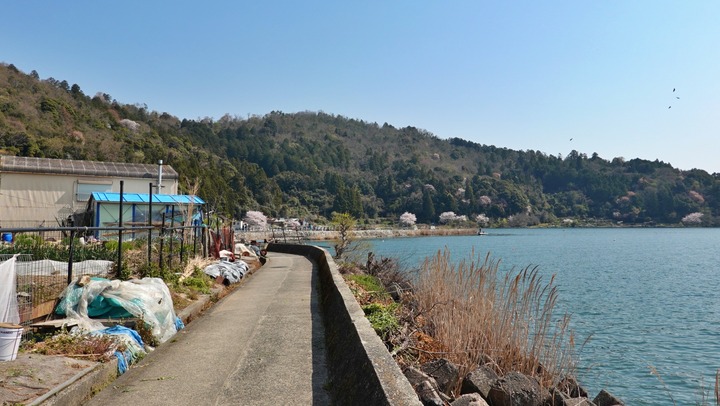 DSC09931