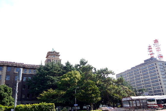 イメージ 6