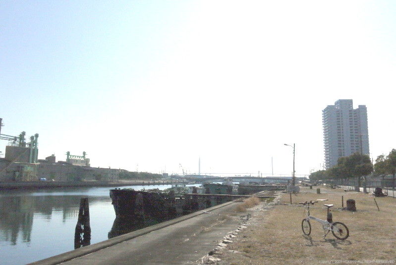 イメージ 5