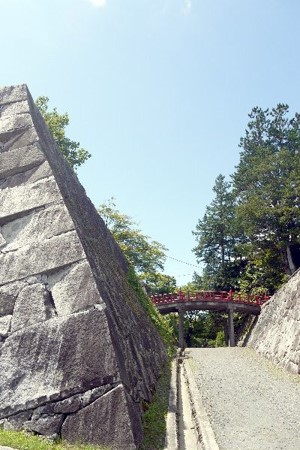 画像15