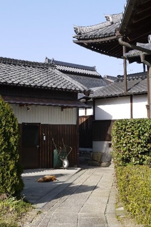 画像65