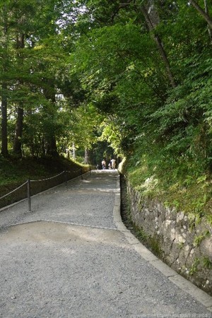 画像11