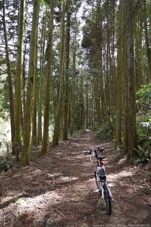 画像58