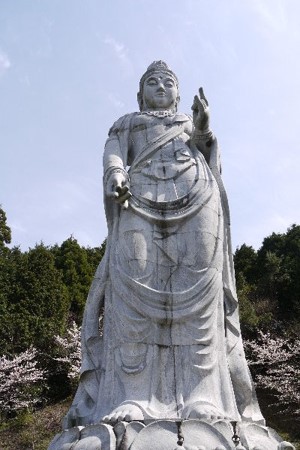 画像63