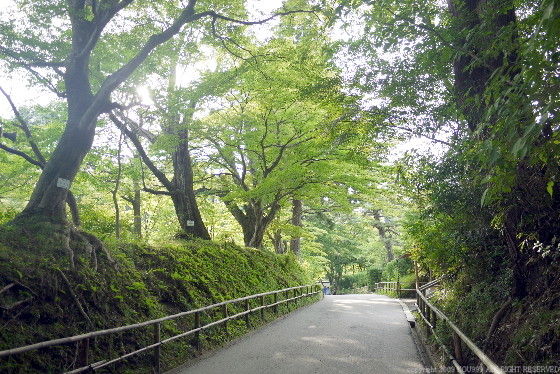 イメージ 9