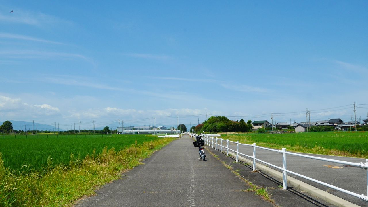 イメージ 7