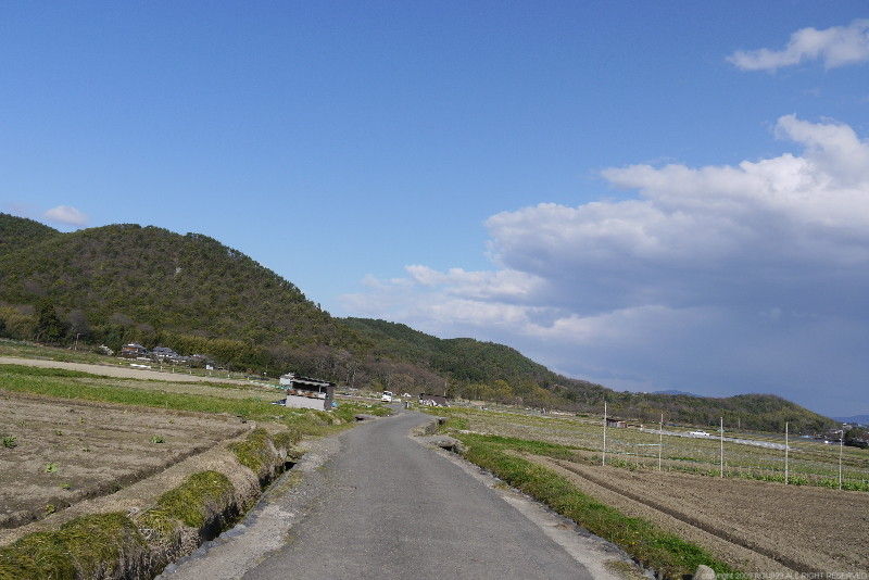 イメージ 13