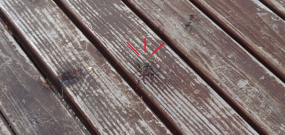 20250720_141221コピー