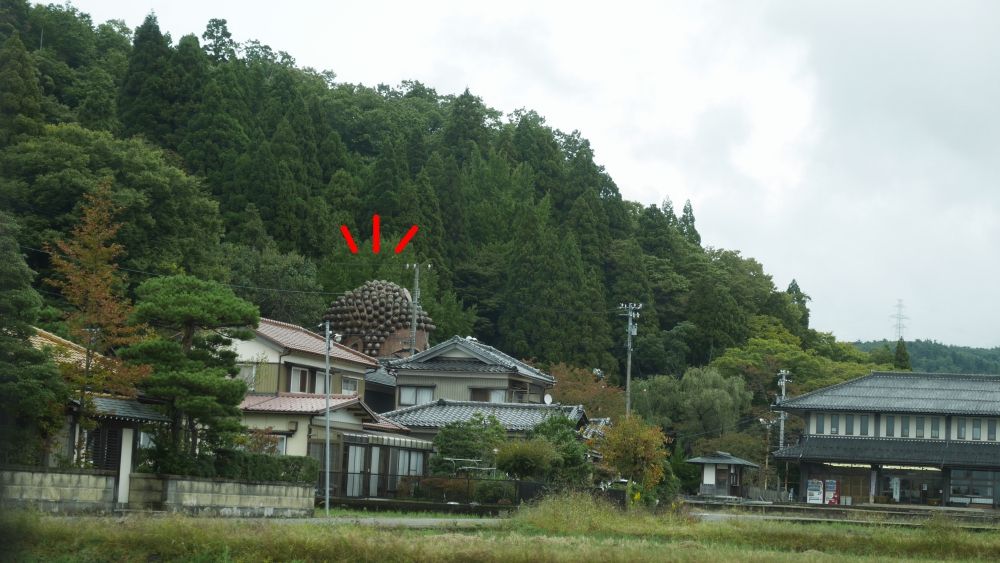 イメージ 7