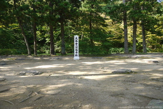 イメージ 12
