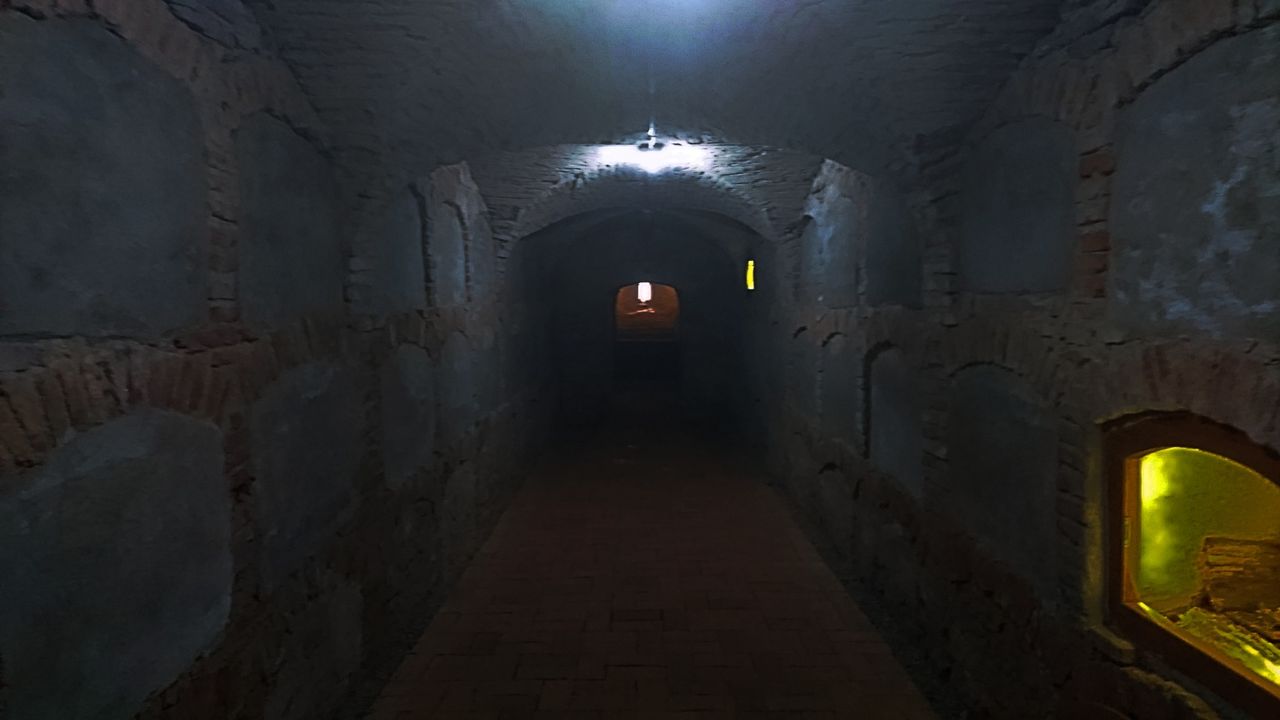 イメージ 12