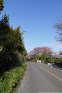 画像46
