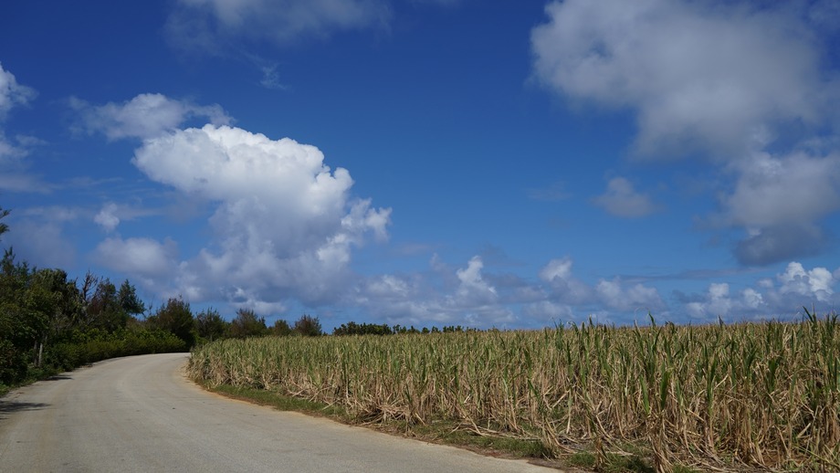 DSC01645