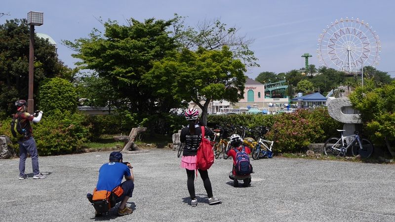 イメージ 7