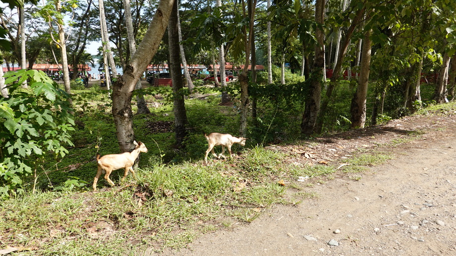 DSC01437