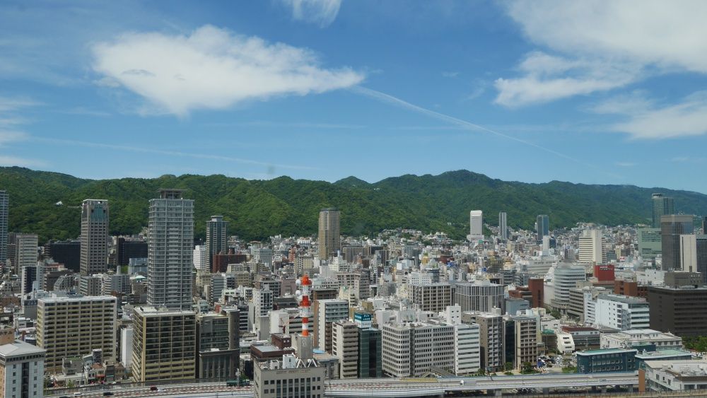 イメージ 18