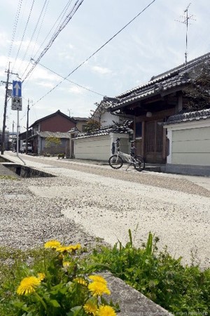 画像54